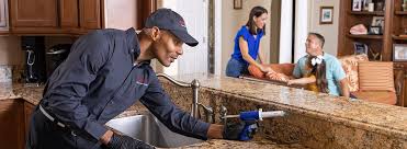 Best Residential Pest Control  in Presquille, LA